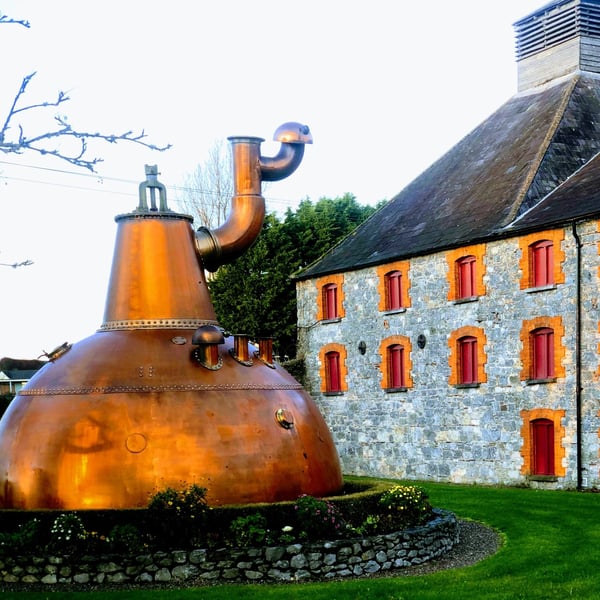 Irish whiskey tasting